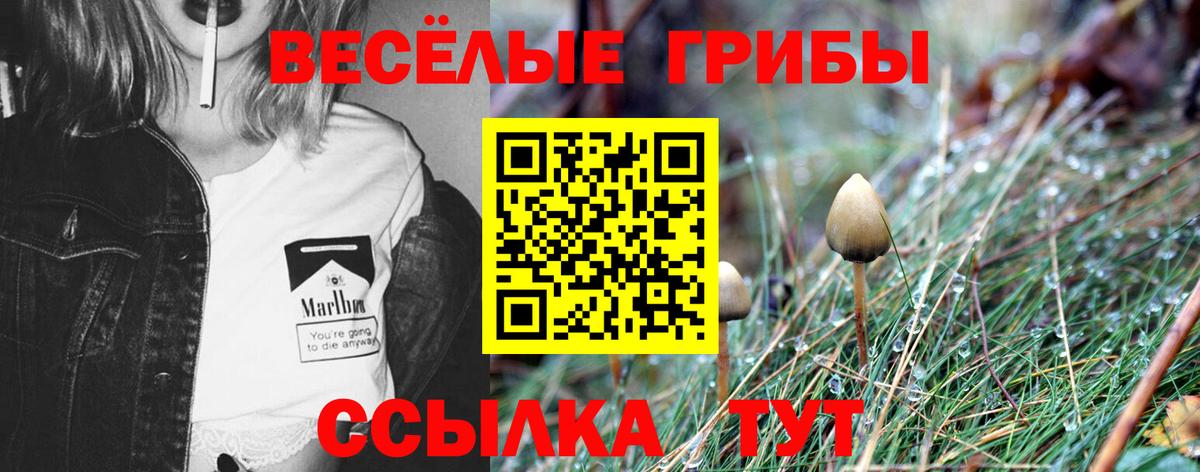 цены   Вход с VPN  Каспийск  Галлюциногенные грибы прущие грибы 