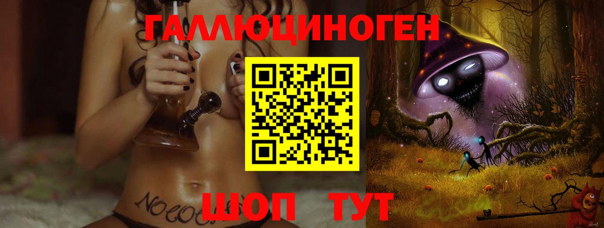 Галлюциногенные грибы Psilocybine cubensis Каспийск